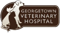 Georgetown veterinary hospital