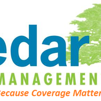 Cedar risk management