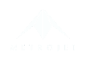 Metrojet limited