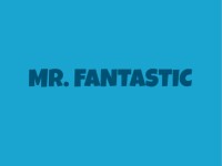 Mr. fantastic, llc