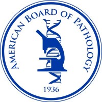 The american board of pathology