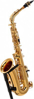 Saxophon GmbH