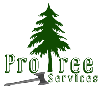 Pro tree