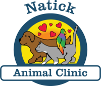 Natick animal clinic