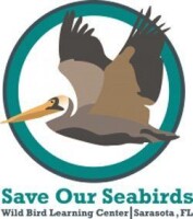 Save our seabirds