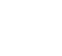 University partners