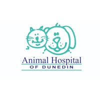 Animal hospital of dunedin