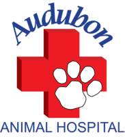 Audubon animal hospital