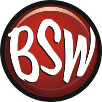 Bsw toy inc
