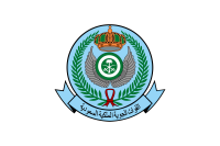 Royal Saudi Air Force