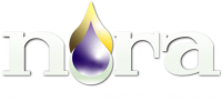 Northern ohio recovery association