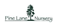 Pine lane nursery