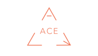 Ace it consulting