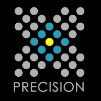 Precision Productions + Post
