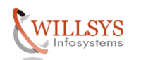 willsys infosystems private limited