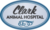 Clark animal hospital