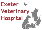 Exeter veterinary hospital
