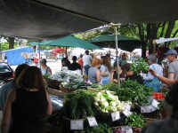 Lane County Farmers' Market