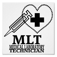 MLT International GmbH