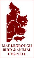 Marlborough bird & animal hospital