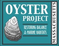 Massachusetts oyster project