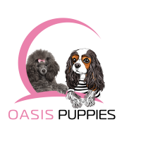 Dogs oasis