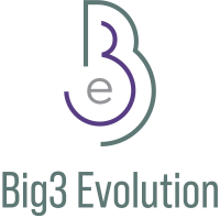 Big3 evolution (pty) ltd