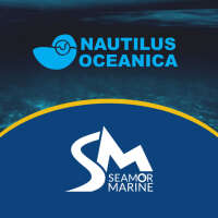 Nautilus oceanica s.l.