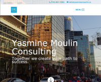 Yasmine moulin consulting