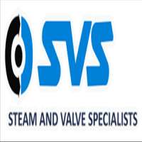 Steam and valve specialists (pty) ltd