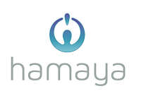 Hamaya international group limited