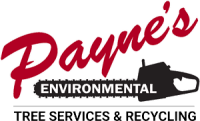 Payne's environmental services, llc