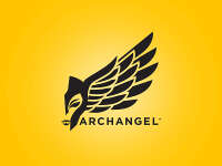 Archangel sports management