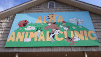 Alma animal clinic