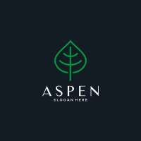 Aspen design & fabrication