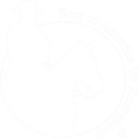 Best of america by horseback