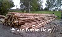 Van biezen hout import