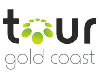 Gold coast hydrofoil tours