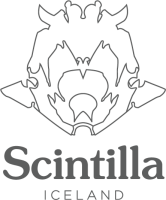 Scintilla design