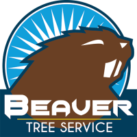 Beaver tree services