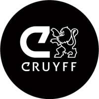 Cruyff football