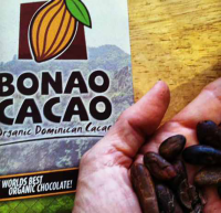 Bonao cacao