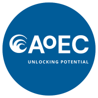 AoEC - The Academy of Executive Coaching