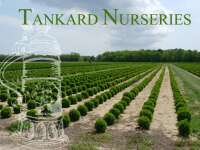 Tankard Nurseries