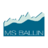 Ms ballin financial strategies