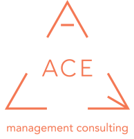 Ace consulting company, llc