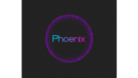 Phoenix specialised youth and disability services