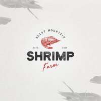 Intensive shrimp farm