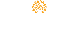 Hospice care of the northwest